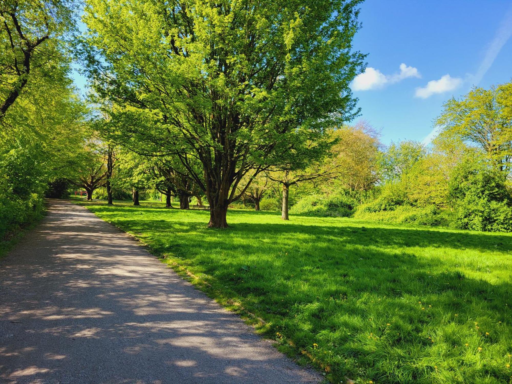 Ferienwohnungen Am Park 威廉港 外观 照片