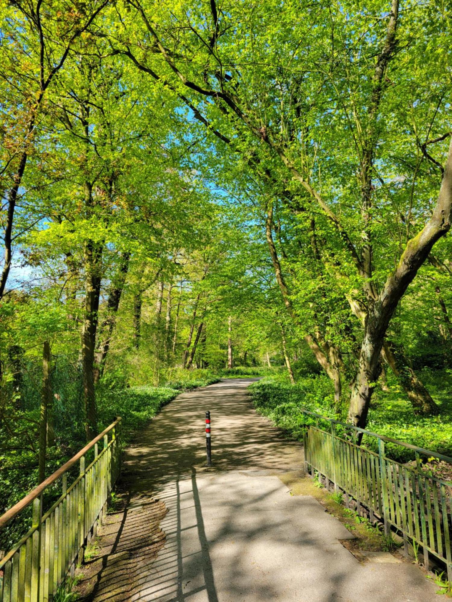 Ferienwohnungen Am Park 威廉港 外观 照片