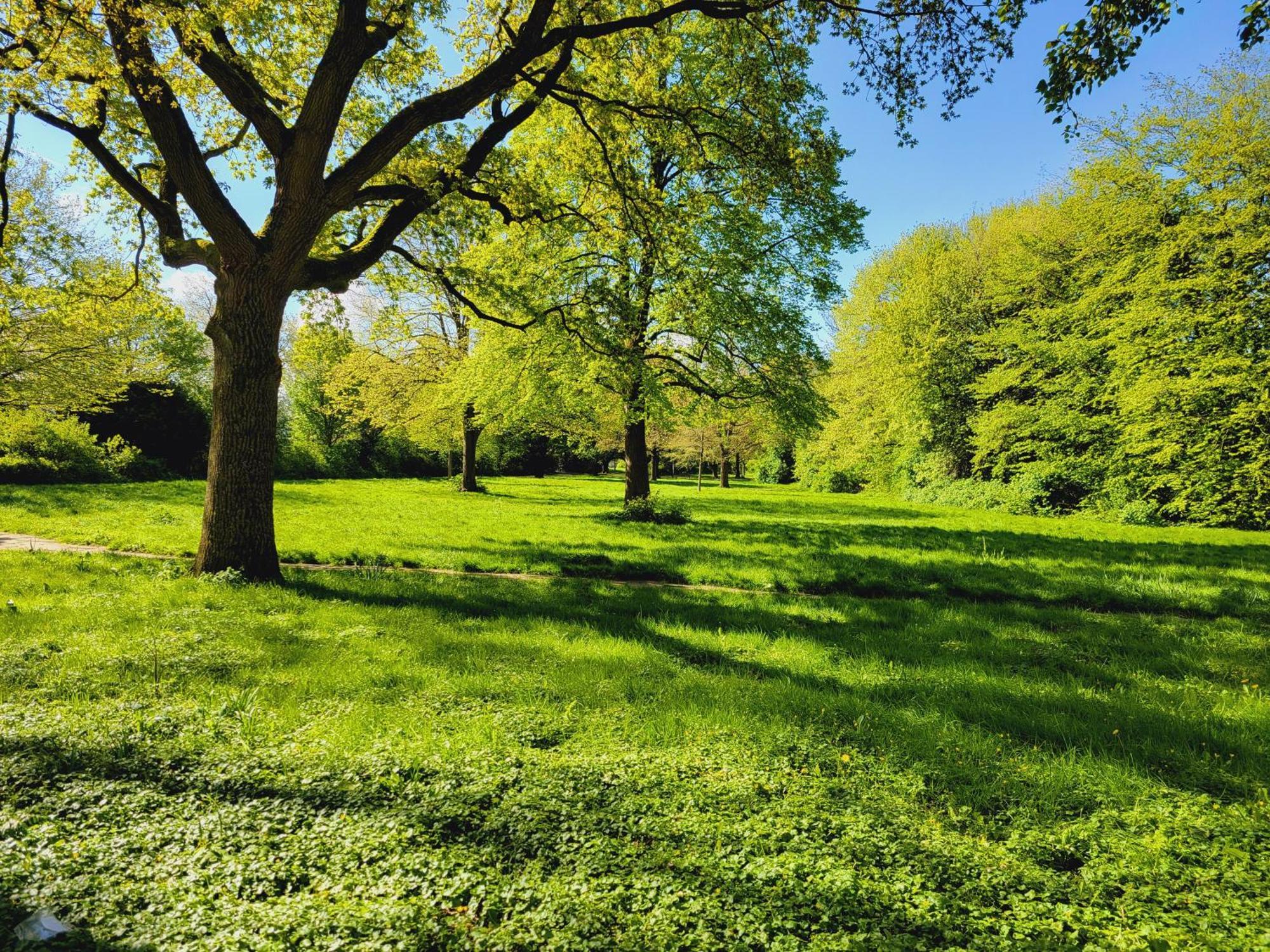 Ferienwohnungen Am Park 威廉港 外观 照片